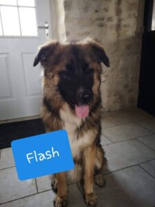 020419-Flash