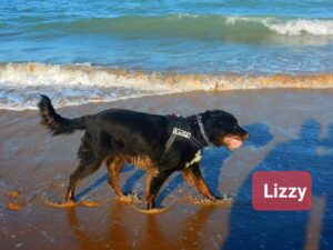100319- Lizzy