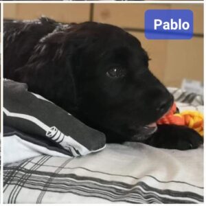 100719-Pablo