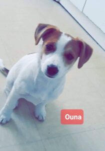 150219 -Ouna