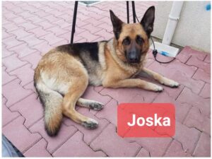 220619-Joska