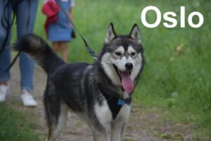 FB_IMG_1594201304325