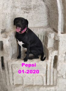 Pepsi
