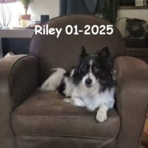 Riley 012025