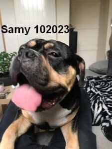 Samy 2